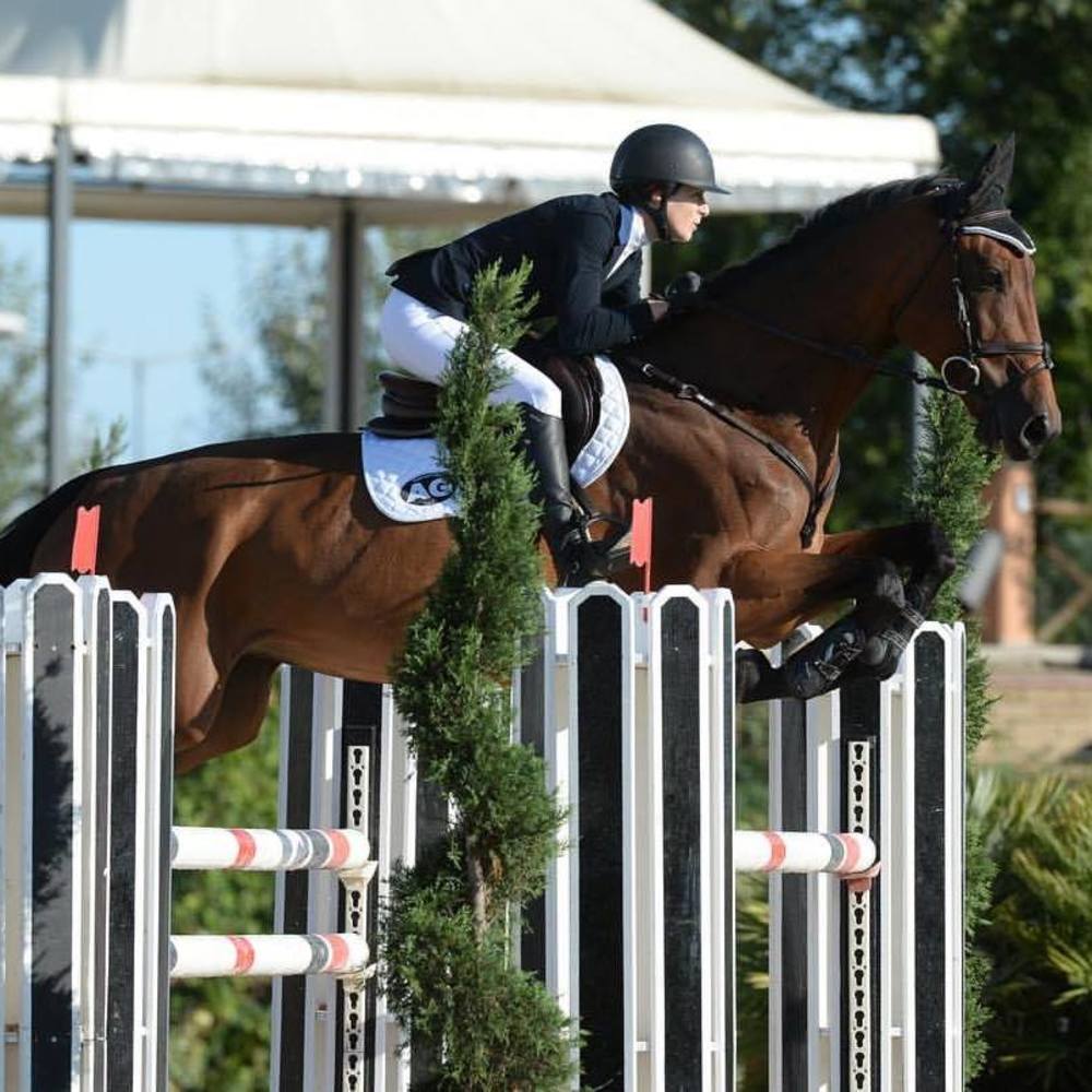 Meet your Posher, Arly